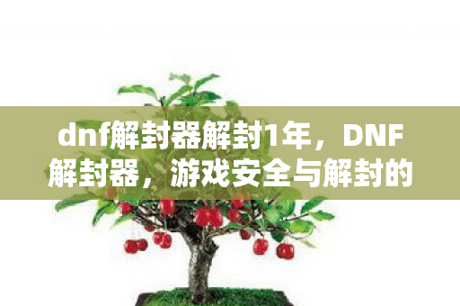 dnf解封器解封1年，DNF解封器，游戏安全与解封的灰色边缘