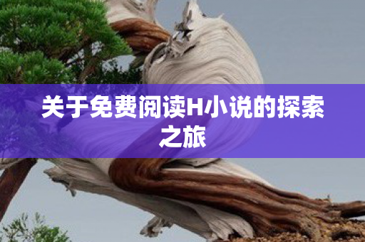 关于免费阅读H小说的探索之旅