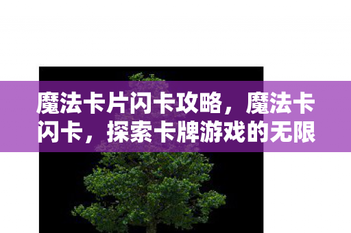 魔法卡片闪卡攻略，魔法卡闪卡，探索卡牌游戏的无限可能