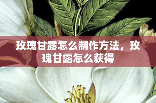 玫瑰甘露怎么制作方法，玫瑰甘露怎么获得