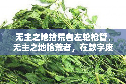 无主之地拾荒者左轮枪管，无主之地拾荒者，在数字废墟中寻找遗失的宝藏