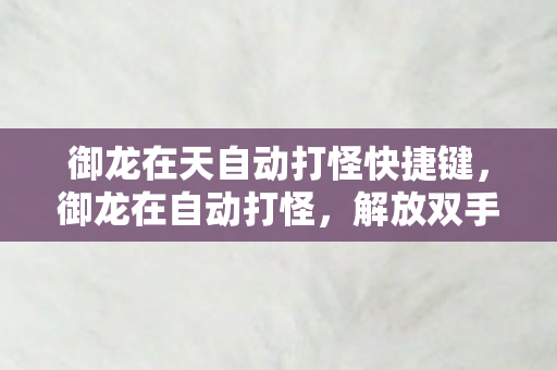 御龙在天自动打怪快捷键，御龙在自动打怪，解放双手，享受游戏乐趣
