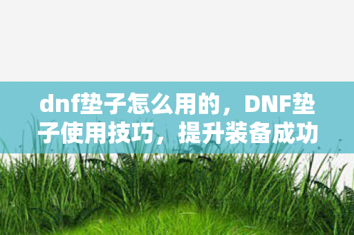 dnf垫子怎么用的，DNF垫子使用技巧，提升装备成功率的关键