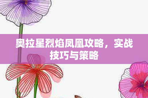奥拉星烈焰凤凰攻略，实战技巧与策略