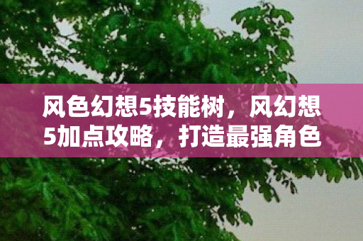 风色幻想5技能树，风幻想5加点攻略，打造最强角色，征服幻想世界