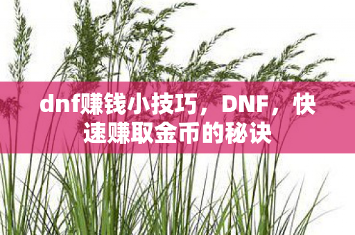 dnf赚钱小技巧，DNF，快速赚取金币的秘诀