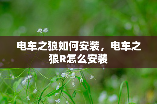 电车之狼如何安装，电车之狼R怎么安装