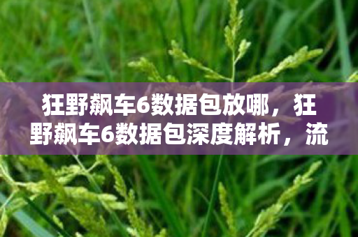 狂野飙车6数据包放哪，狂野飙车6数据包深度解析，流畅体验背后的秘密
