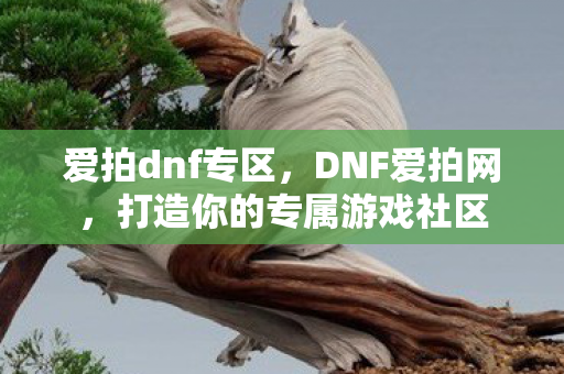 爱拍dnf专区，DNF爱拍网，打造你的专属游戏社区