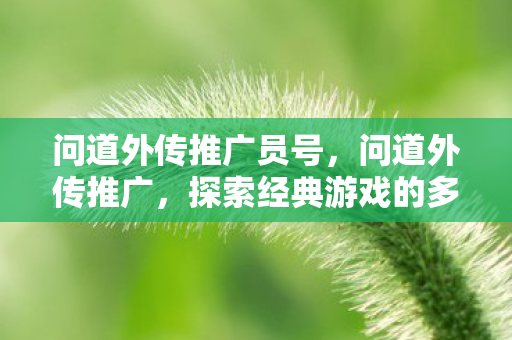 问道外传推广员号，问道外传推广，探索经典游戏的多元魅力