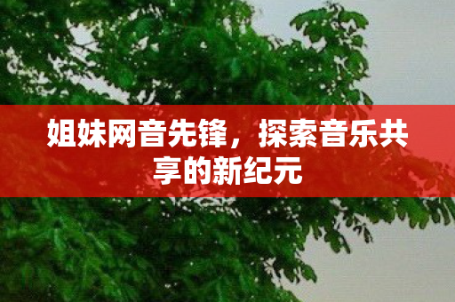 姐妹网音先锋，探索音乐共享的新纪元
