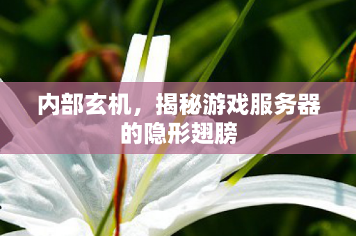内部玄机，揭秘游戏服务器的隐形翅膀
