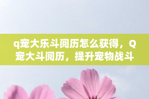 q宠大乐斗阅历怎么获得，Q宠大斗阅历，提升宠物战斗力的关键