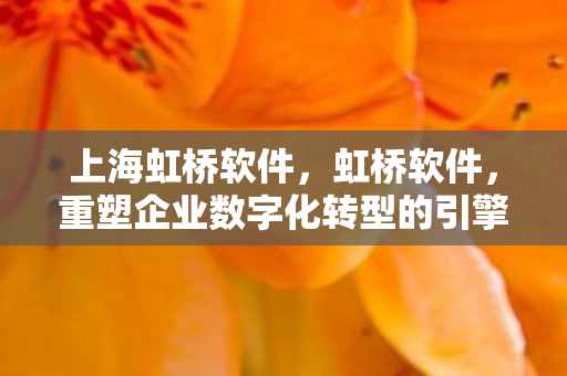 上海虹桥软件，虹桥软件，重塑企业数字化转型的引擎