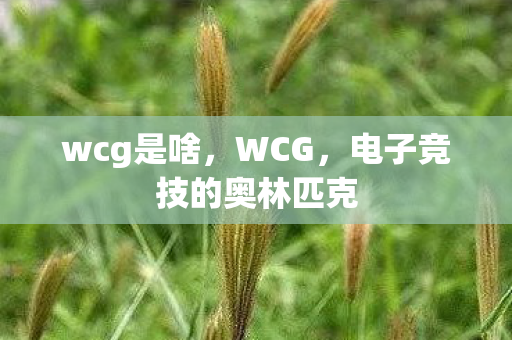 wcg是啥，WCG，电子竞技的奥林匹克