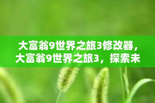 大富翁9世界之旅3修改器，大富翁9世界之旅3，探索未知，挑战自我