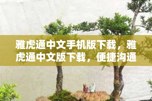 雅虎通中文手机版下载，雅虎通中文版下载，便捷沟通，尽享国际交流