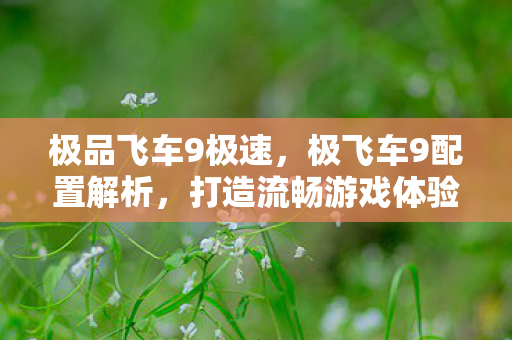 极品飞车9极速，极飞车9配置解析，打造流畅游戏体验的硬件需求