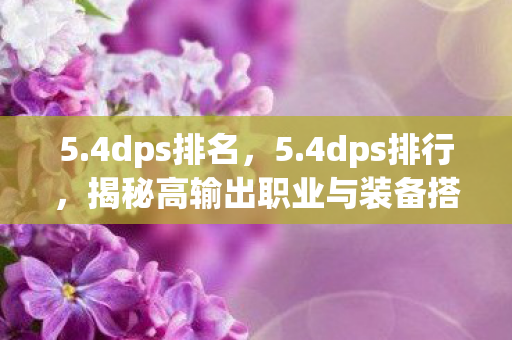 5.4dps排名，5.4dps排行，揭秘高输出职业与装备搭配