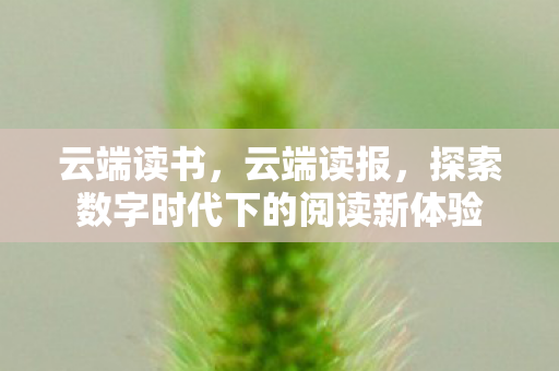 云端读书，云端读报，探索数字时代下的阅读新体验