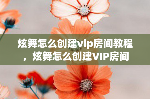 炫舞怎么创建vip房间教程，炫舞怎么创建VIP房间