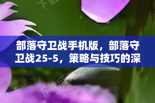 部落守卫战手机版，部落守卫战25-5，策略与技巧的深度剖析