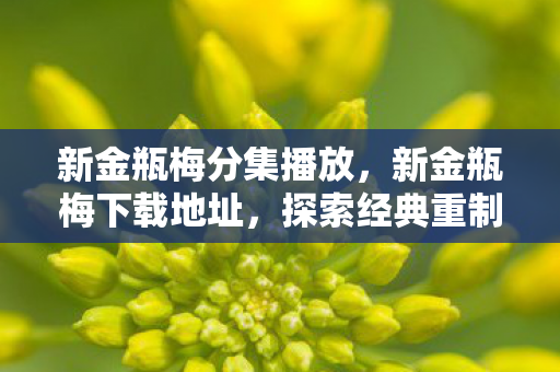 新金瓶梅分集播放，新金瓶梅下载地址，探索经典重制的魅力