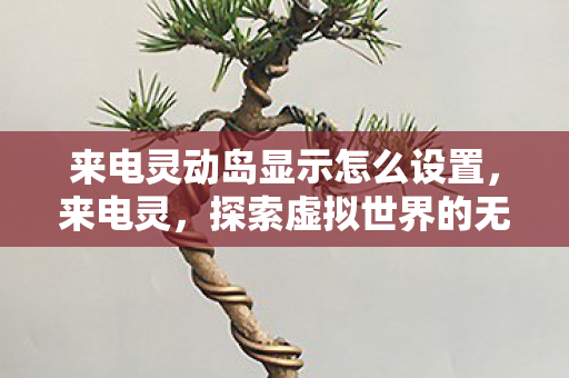 来电灵动岛显示怎么设置，来电灵，探索虚拟世界的无限可能