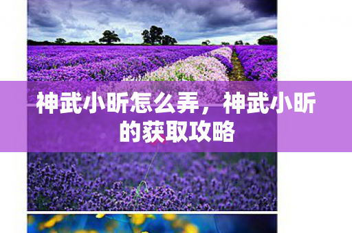 神武小昕怎么弄，神武小昕的获取攻略