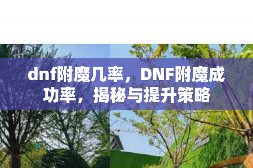 dnf附魔几率，DNF附魔成功率，揭秘与提升策略
