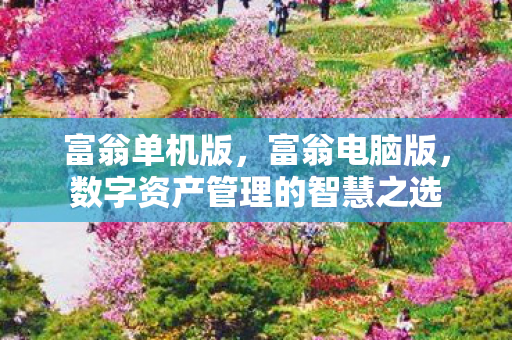 富翁单机版，富翁电脑版，数字资产管理的智慧之选