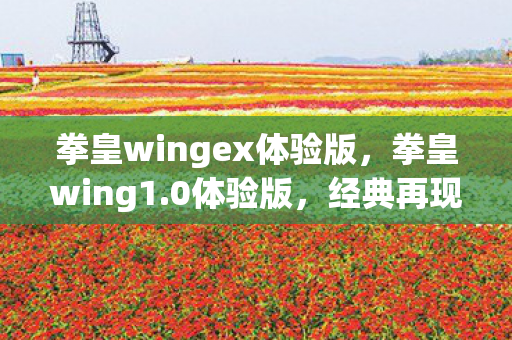 拳皇wingex体验版,拳皇wing1.0体验版,经典再现,全新挑战 拳皇wingex体验版,拳皇wing1.0体验版,经典再现,全新挑战