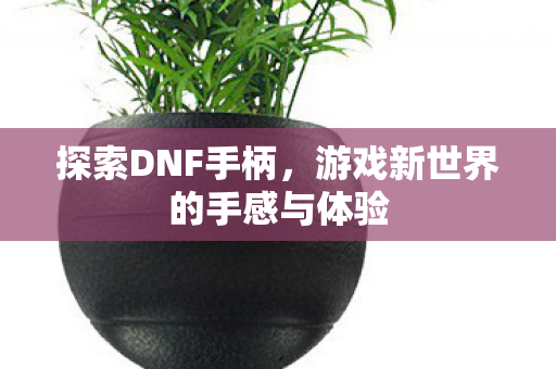探索DNF手柄，游戏新世界的手感与体验