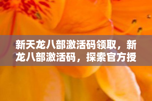 新天龙八部激活码领取，新龙八部激活码，探索官方授权的奇幻之旅