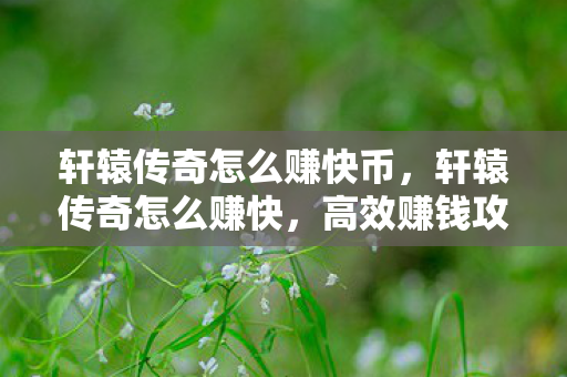 轩辕传奇怎么赚快币，轩辕传奇怎么赚快，高效赚钱攻略