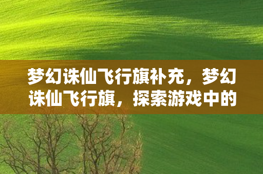 梦幻诛仙飞行旗补充，梦幻诛仙飞行旗，探索游戏中的奇妙之旅