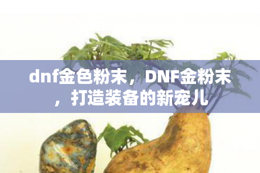 dnf金色粉末，DNF金粉末，打造装备的新宠儿