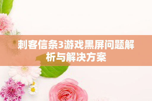 刺客信条3游戏黑屏问题解析与解决方案