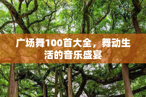 广场舞100首大全，舞动生活的音乐盛宴