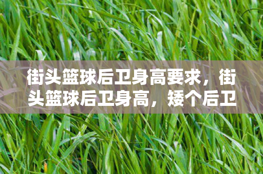 街头篮球后卫身高要求，街头篮球后卫身高，矮个后卫的灵活与技巧
