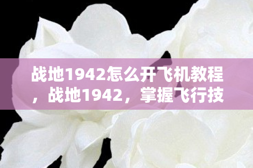 战地1942怎么开飞机教程，战地1942，掌握飞行技巧，驰骋蓝天