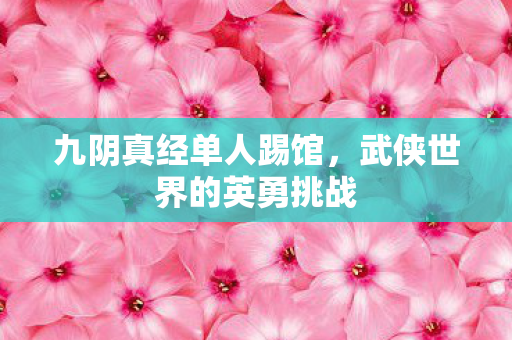 九阴真经单人踢馆，武侠世界的英勇挑战