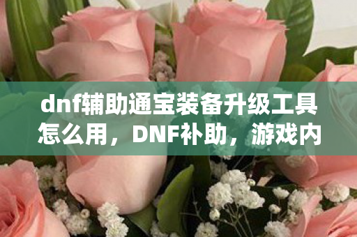 dnf辅助通宝装备升级工具怎么用,DNF补助,游戏内经济系统的平衡与维护 dnf辅助通宝装备升级工具怎么用,DNF补助,游戏内经济系统的平衡与维护