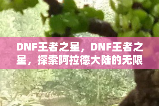 DNF王者之星，DNF王者之星，探索阿拉德大陆的无限可能