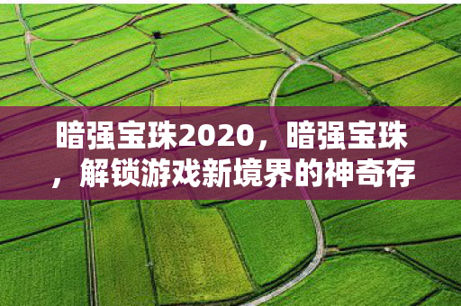 暗强宝珠2020，暗强宝珠，解锁游戏新境界的神奇存在