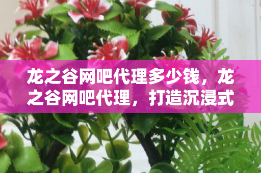 龙之谷网吧代理多少钱，龙之谷网吧代理，打造沉浸式游戏体验