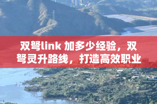 双弩link 加多少经验，双弩灵升路线，打造高效职业发展的策略