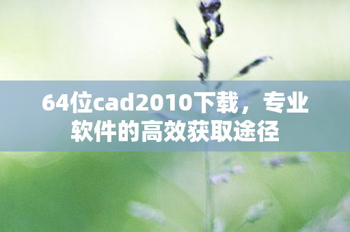 64位cad2010下载，专业软件的高效获取途径