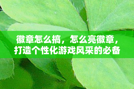 徽章怎么搞，怎么亮徽章，打造个性化游戏风采的必备技巧