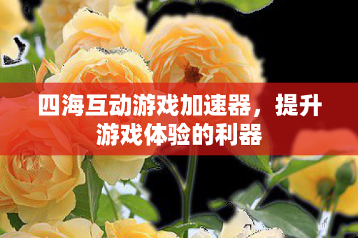 四海互动游戏加速器，提升游戏体验的利器